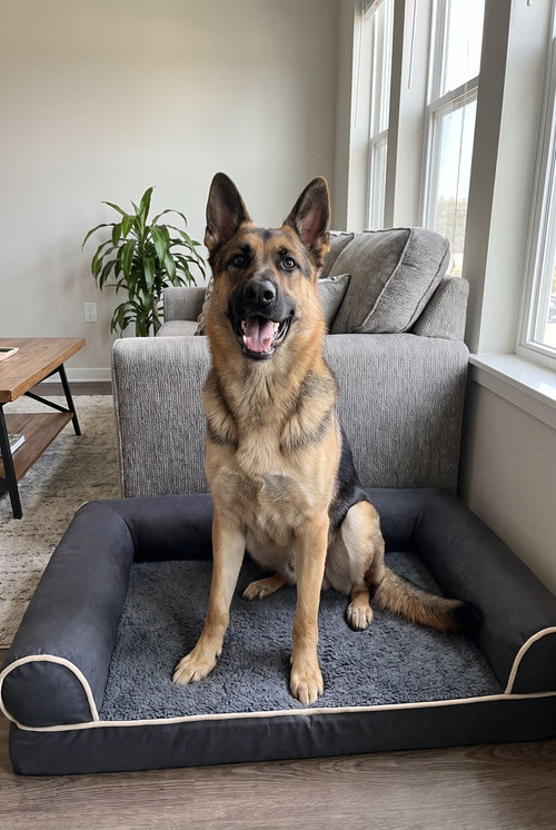 03-gsd-sit.jpg