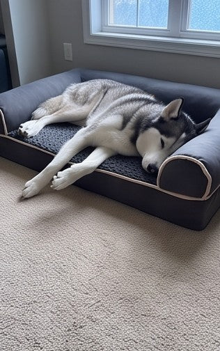 05-husky-sleep.jpg