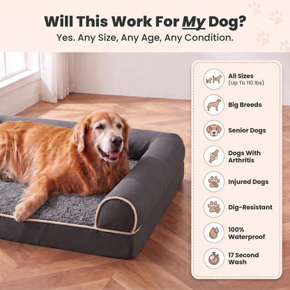 Will this work for my dog? Yes, any size, any age, any condition