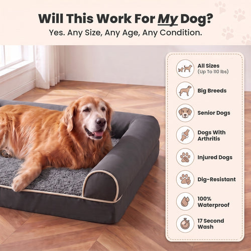 Will this work for my dog? Yes, any size, any age, any condition