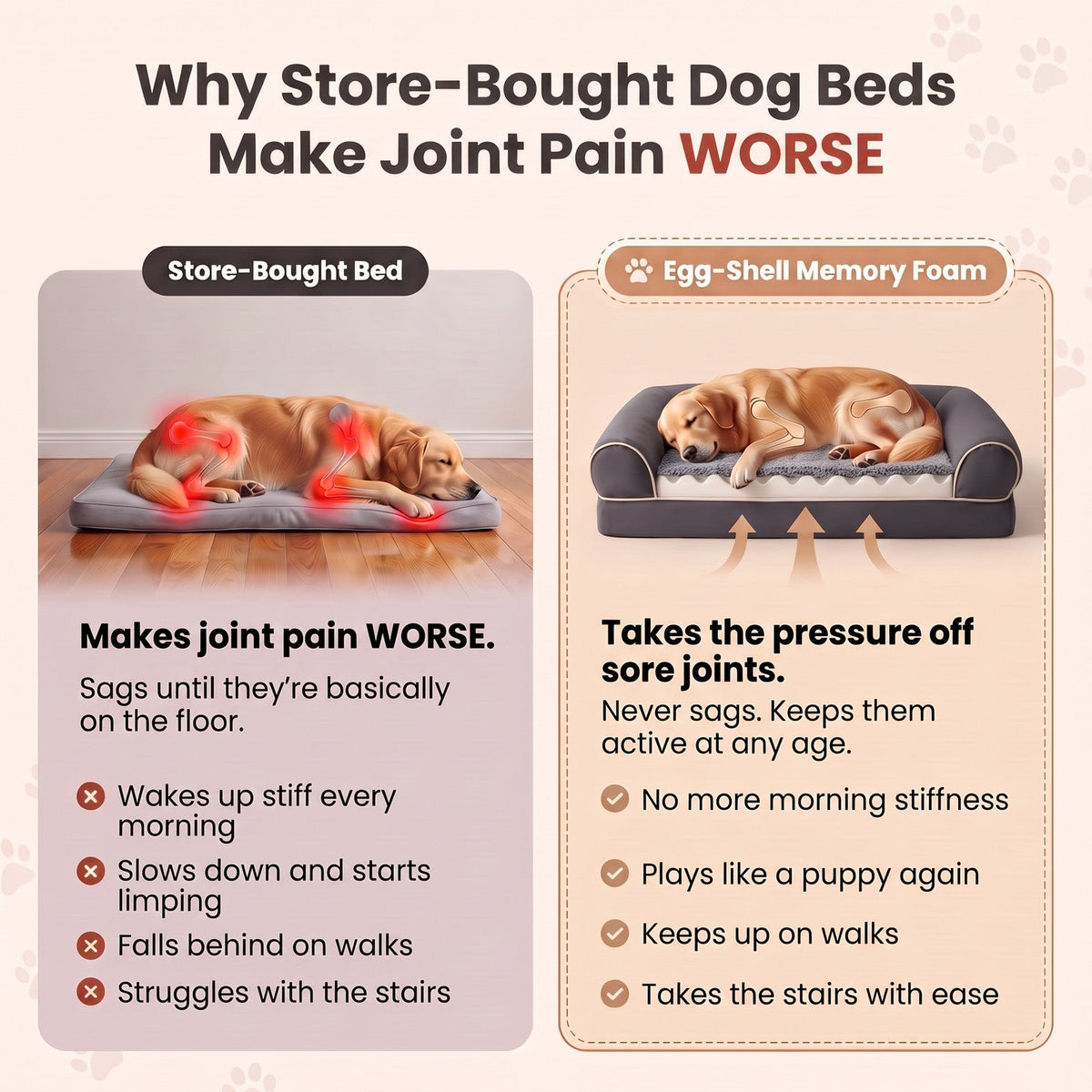 Why store-bought dog beds make joint pain worse