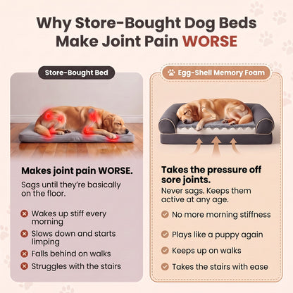 Why store-bought dog beds make joint pain worse