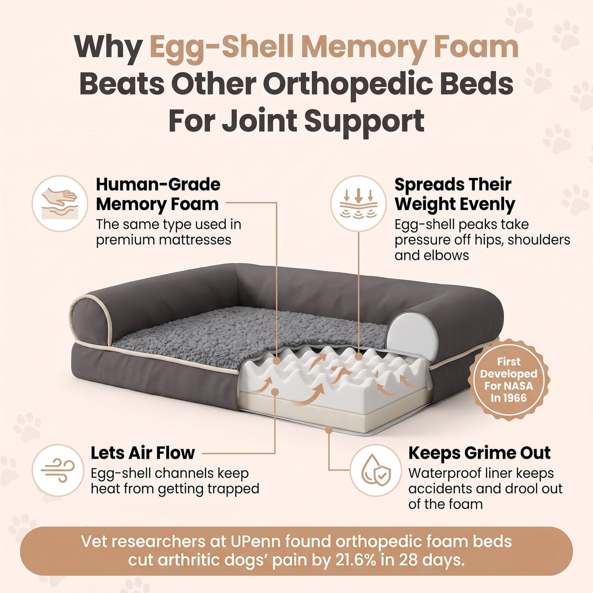 Why egg-shell memory foam beats other orthopedic beds